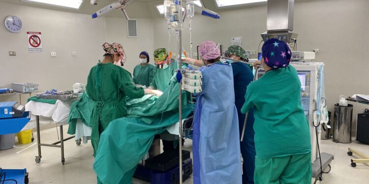 Cuarto procuramiento de órganos del Hospital de Chillán dará nueva oportunidad de vida a tres personas