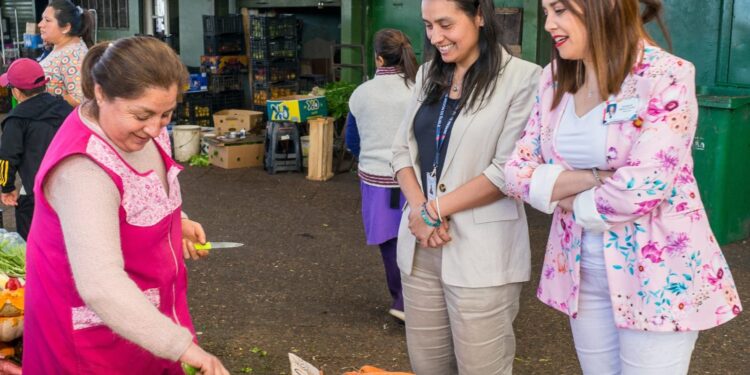 Autoridades de Salud lanzan Campaña de Verano 2024-2025