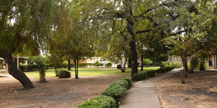 Más de 100 cuidadoras participan en encuentro realizado en Casa Tabor Chillán