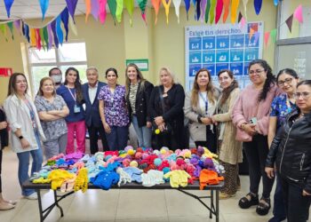 Tejedoras de San Nicolás donan ajuares y pulpos de peluches para bebés prematuros de Ñuble