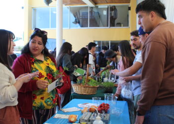 Santo Tomás realizó doble feria de salud y agricultura en Chillán para