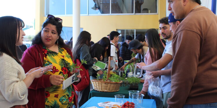 Santo Tomás realizó doble feria de salud y agricultura en Chillán para