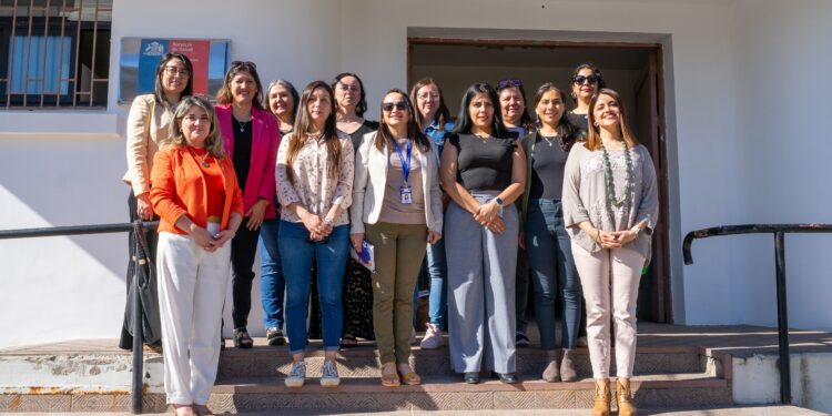 Profesionales de ocho servicios de salud del país realizarán pasantía en Salud Familiar en el Hospital de El Carmen