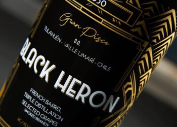 No solo los vinos chilenos ganan premios internacionales: Pisco chileno es reconocido como el mejor del mundo