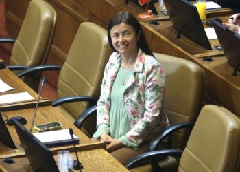 Joven fallecido en Cerro Cordillera: Diputada Bravo pide tramitar proyecto que obliga a informar georreferenciación de celulares en máximo cinco horas