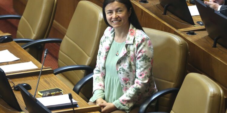 Joven fallecido en Cerro Cordillera: Diputada Bravo pide tramitar proyecto que obliga a informar georreferenciación de celulares en máximo cinco horas
