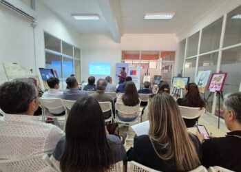 Direcciones de Tránsito de las 21 comunas de Ñuble se capacitan en nuevo sistema de licencias digitales