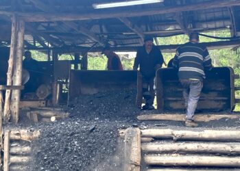 Investigadores crean solución con carbón de Curanilahue para eliminar mal olor de industrias 