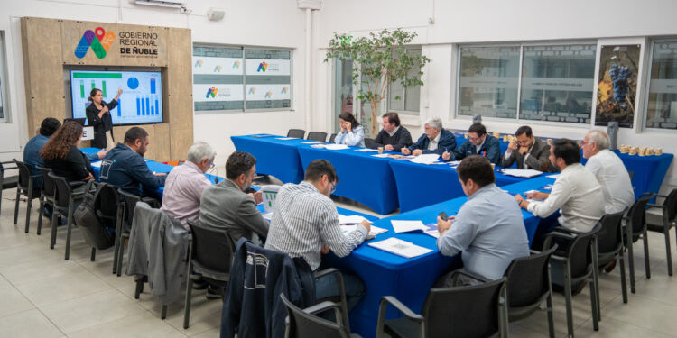 Inversión pública en Ñuble ha crecido un 200% desde que somos región