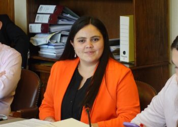 Diputada Concha solicita crear comisión para investigar irregularidades en JUNAEB