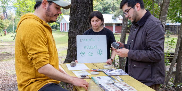 Fondos de Protección Ambiental impulsaron proyectos escolares sobre sostenibilidad en Ñuble
