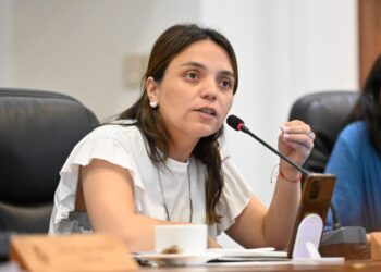 Concejala Chávez solicita al Municipio de Chillán gestionar con Ecobio que se agilice el mejoramiento en el vertedero