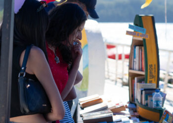    La cultura y la lectura se toman el verano en el Bío-Bío con actividades gratuitas y para toda la familia.