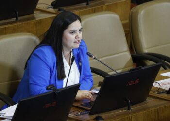 Diputada Concha y balance de 2024: “ha sido un año marcado por el desborde la delincuencia, el narcotráfico y la expansión del crimen organizado”