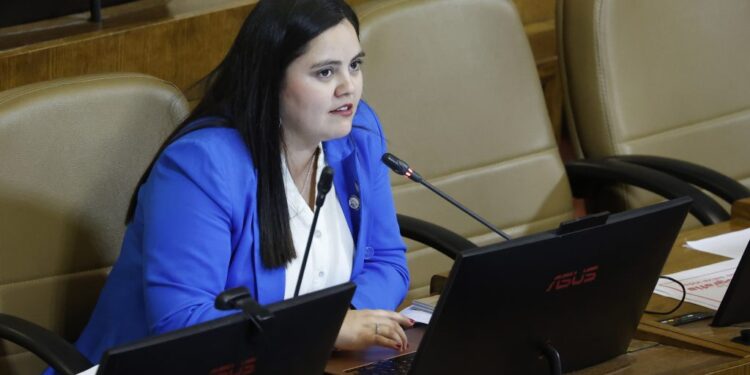 Diputada Concha y balance de 2024: “ha sido un año marcado por el desborde la delincuencia, el narcotráfico y la expansión del crimen organizado”