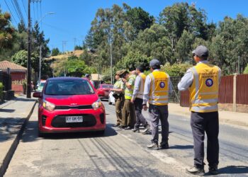 Autoridades refuerzan controles de tránsito vial en verano: Llaman a la comunidad al autocuidado y responsabilidad al volante