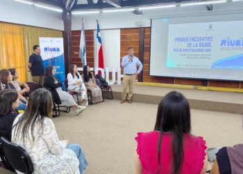 Académicas y Funcionarias UBB conformaron Red de Investigadoras