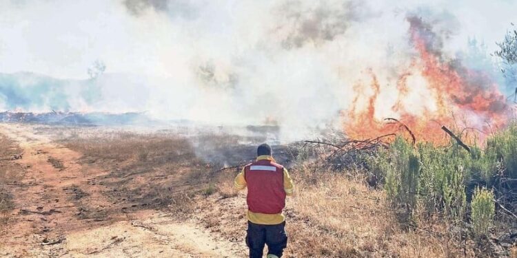 30-1-2025 ATR N°21 Declara Alerta Roja Chillán Viejo – Incendio Forestal