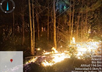CORMA alerta 8 nuevos incendios intencionales en Los Álamos: exigen fiscal con dedicación exclusiva