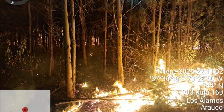 CORMA alerta 8 nuevos incendios intencionales en Los Álamos: exigen fiscal con dedicación exclusiva
