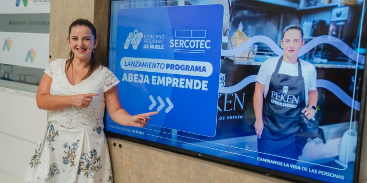 Sercotec y el Gobierno Regional abren postulación a programa Abeja Emprende