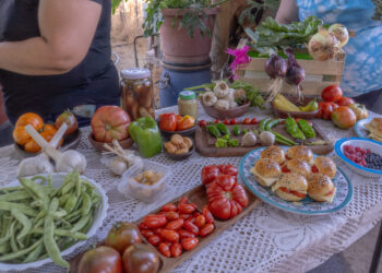 MUNICIPIO CHILLANVEJANO PROMUEVE LA CONCRECIÓN DE HUERTAS COMUNITARIAS