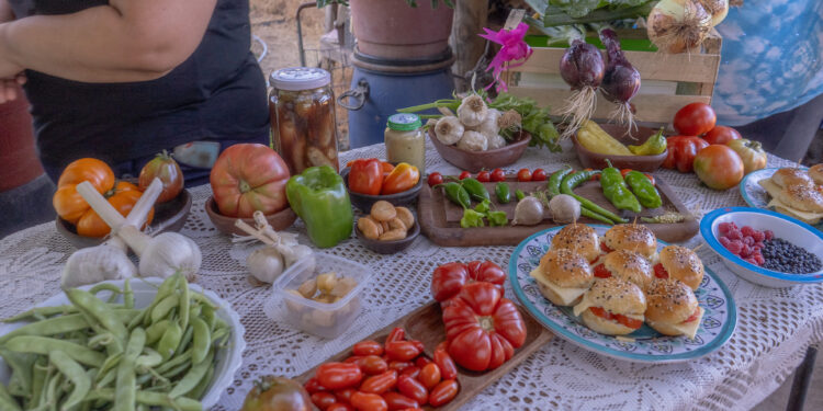 MUNICIPIO CHILLANVEJANO PROMUEVE LA CONCRECIÓN DE HUERTAS COMUNITARIAS
