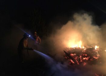 Biobío enfrenta días críticos: Conaf y Corma llaman a extremar precauciones frente el alto riesgo de incendios