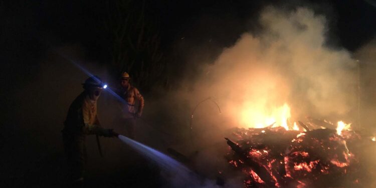 Biobío enfrenta días críticos: Conaf y Corma llaman a extremar precauciones frente el alto riesgo de incendios