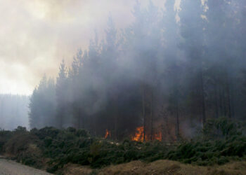 9-2-2025 ATR N°36 Declara Alerta Roja San Ignacio – Incendio forestal