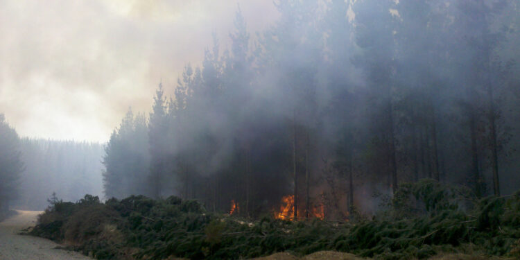 9-2-2025 ATR N°36 Declara Alerta Roja San Ignacio – Incendio forestal