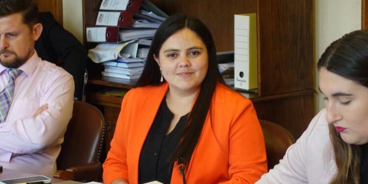 Diputada Sara Concha llamó a incorporar alerta SAE en casos de cortes de luz generalizados