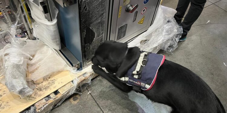 Aduana Metropolitana descubre más 100 kilos de metanfetaminas ocultas en máquina industrial