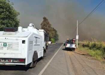 SENAPRED: Emergencia en Ñuble  por incendios forestales