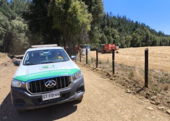 El Carmen: Decretan Emergencia Comunal y refuerzan patrullajes preventivos