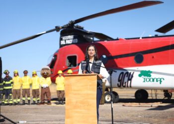 Ñuble ante el calor: Agricultura entrega recomendaciones para proteger cultivos, ganado y personas.