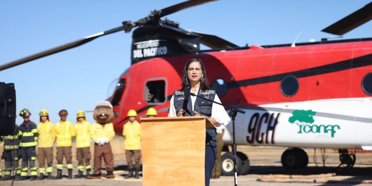 Ñuble ante el calor: Agricultura entrega recomendaciones para proteger cultivos, ganado y personas.