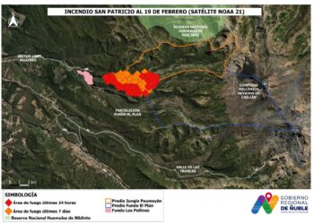 Gobernador Crisóstomo solicita decretar Alerta Roja por incendio en precordillera de Ñuble