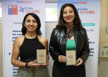 Gobierno lanza nueva versión de la Cartola del Registro Social de Hogares para facilitar su comprensión