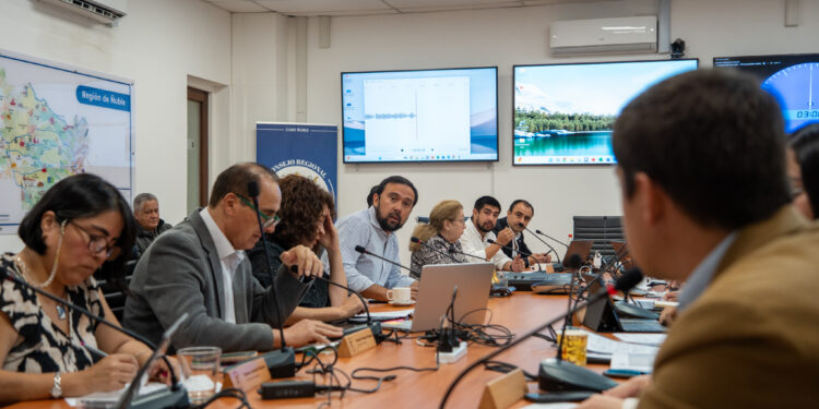 Consejo Regional aprueba recursos para potenciar las MiPymes de Ñuble