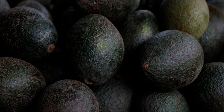 Chile y su amor por la palta: el país está entre los mayores consumidores de palta