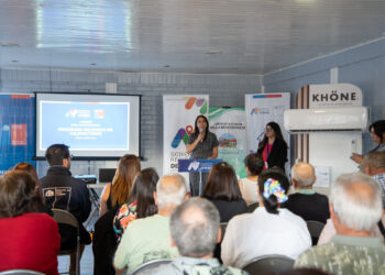 Gobierno Regional de Ñuble y  Ministerio del Medio Ambiente Amplían Cobertura del Programa de Recambio de Calefactores