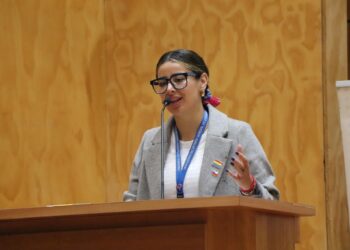 Atención Ñuble! Gobierno anuncia nuevas fechas para postular al subsidio eléctrico