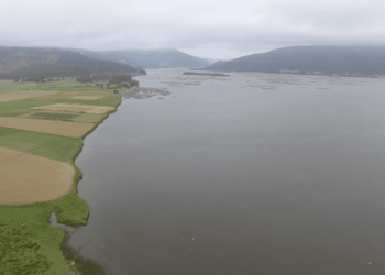 Día Mundial del Agua: Un llamado a la conciencia y la protección de los ecosistemas naturales de Ñuble