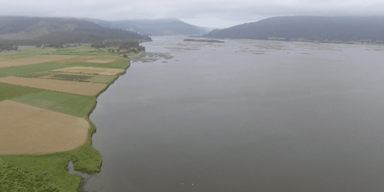 Día Mundial del Agua: Un llamado a la conciencia y la protección de los ecosistemas naturales de Ñuble