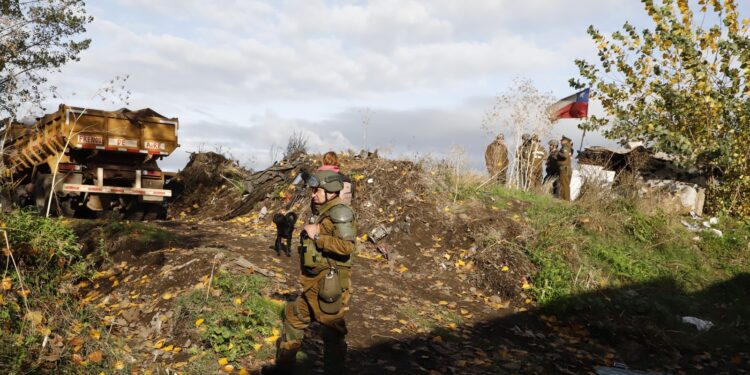 OPERATIVO RUCOS CERO EN CHILLÁN VIEJO: HACIA UNA COMUNA MÁS SEGURA Y ORDENADA