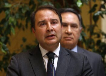 DIPUTADO SAUERBAUM DESTACA CREACIÓN DE REGISTRO NACIONALDE CONDENADOS POR MALTRATO ANIMAL