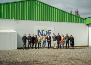 Ñuble sumará nuevo packing de cerezas gracias al programa de atracción de inversiones del Gobierno Regional