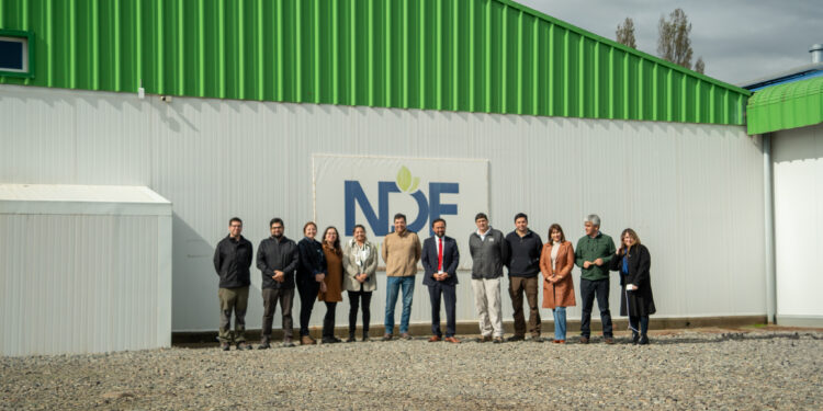 Ñuble sumará nuevo packing de cerezas gracias al programa de atracción de inversiones del Gobierno Regional