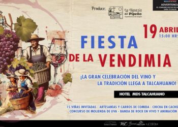 Vitivinicultores de Ñuble y Biobío preparan la Fiesta de la Vendimia